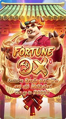 nk666 · Fortune Ox